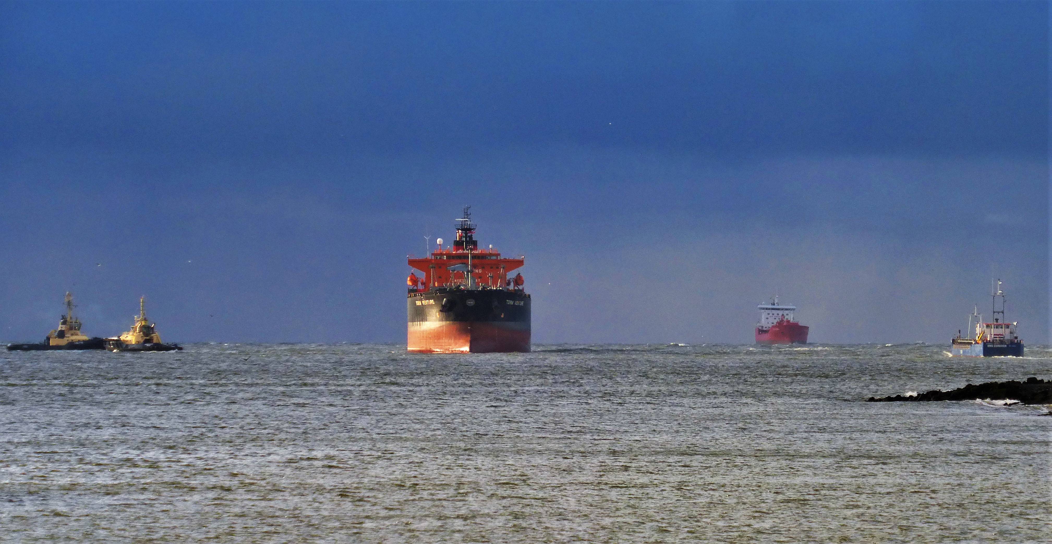 Pieren IJmuiden   29-11-21 